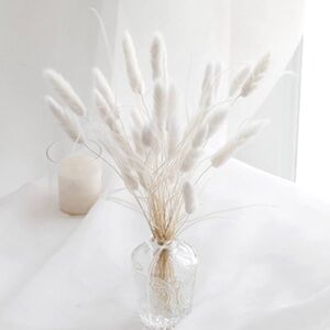 Lagurus aka bunny tails dried flower